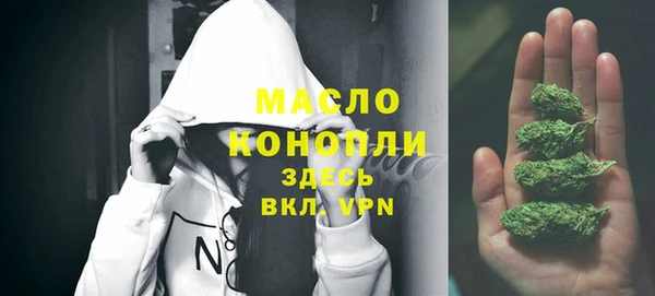стафф Верхний Тагил
