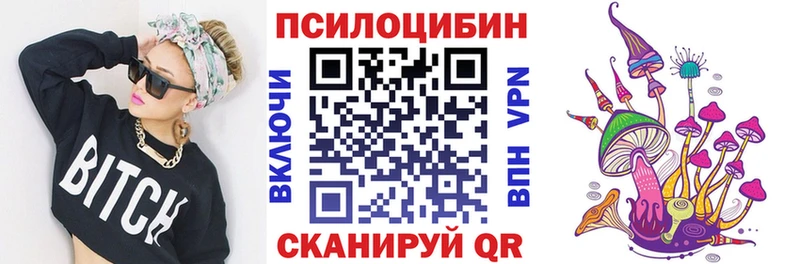 Псилоцибиновые грибы мицелий  Губкинский 